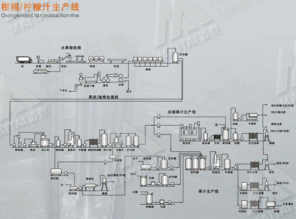 Citrus \ lemon juice production line